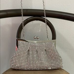 Elegant Silver Chain Evening Bag